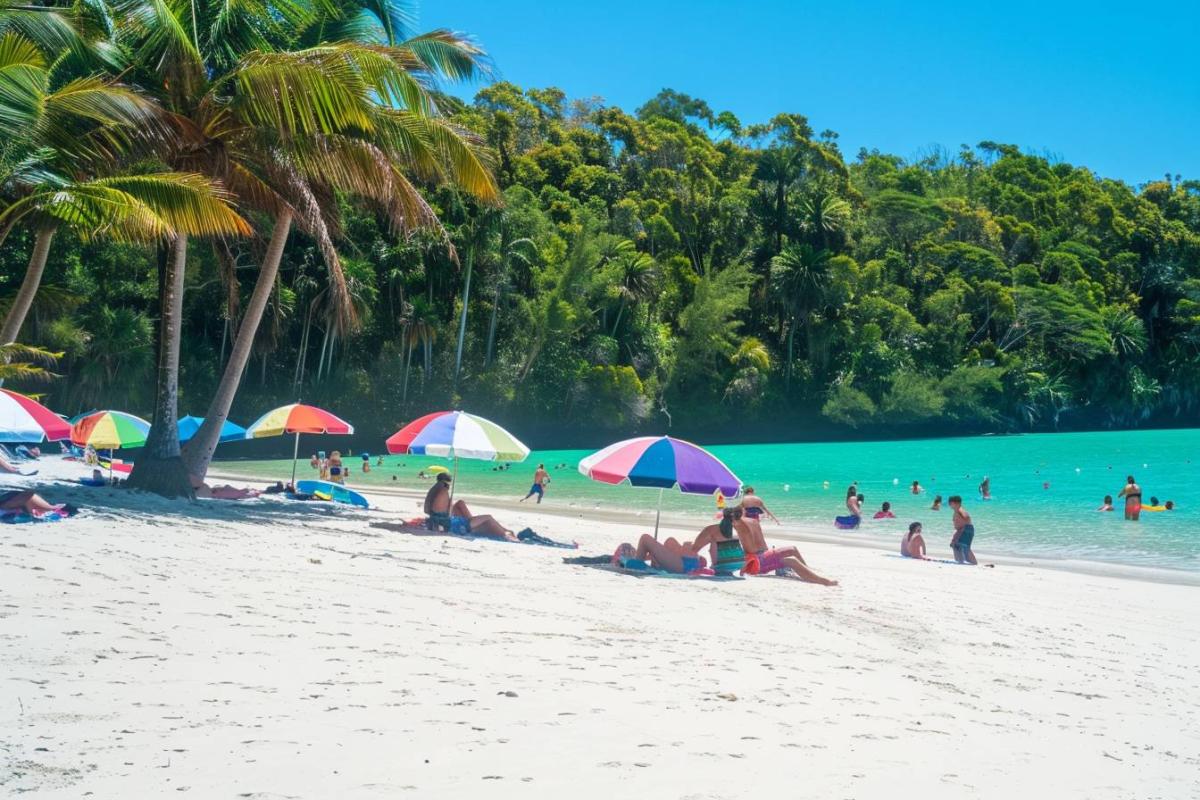 Les 5 endroits à éviter en Martinique : conseils pour un séjour sûr dans l'île paradisiaque