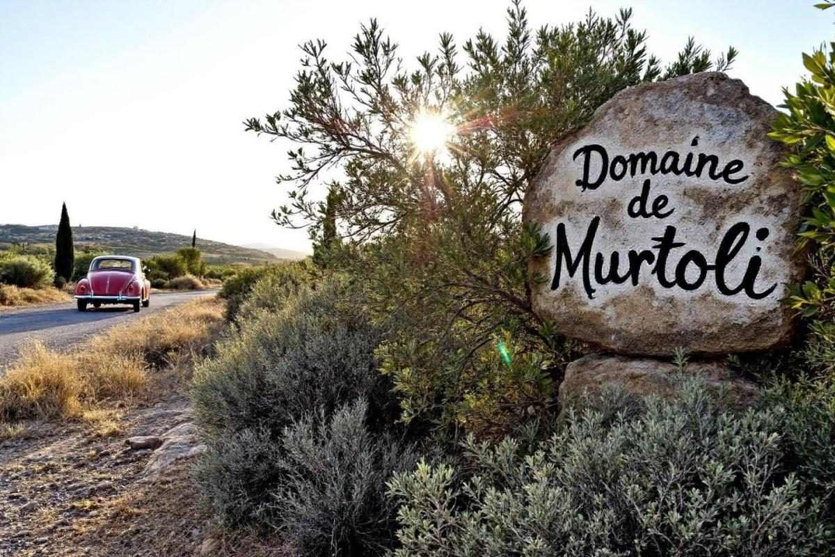 Comment aller au domaine de Murtoli en Corse : conseils et accès pratiques