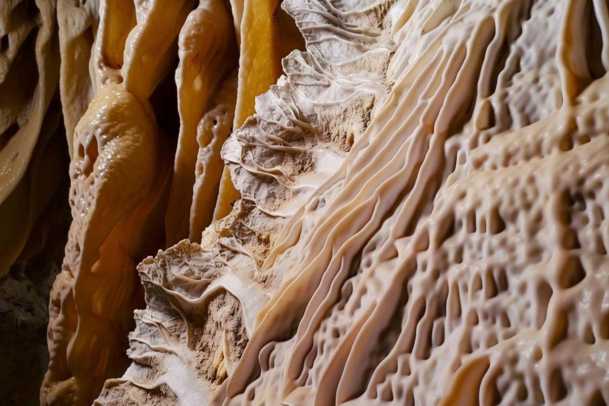 Découvrez les 10 meilleures activités à faire dans le Gard : nature, culture et gastronomie au rendez-vous