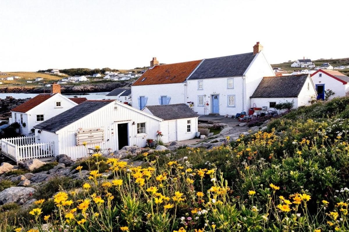 Cette île bretonne aux maisons blanches rappelle la Grèce sans prendre l'avion