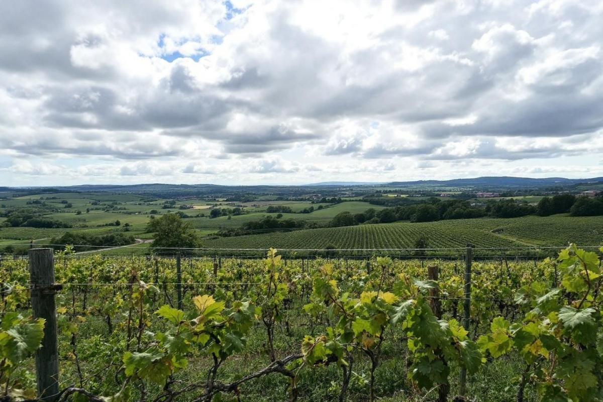 Points de vue Sainte-Victoire : découvrez la montagne emblématique de Provence