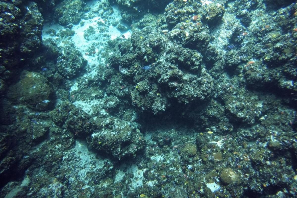 Ce village de pêcheurs espagnol oublié des touristes est un joyau caché d'Europe