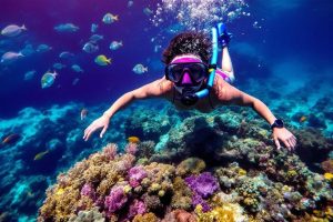 Snorkelling mer Rouge : les plus beaux spots pour explorer les récifs coralliens