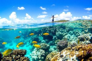 Snorkeling à Raja Ampat : guide complet des plus beaux spots de Papouasie occidentale